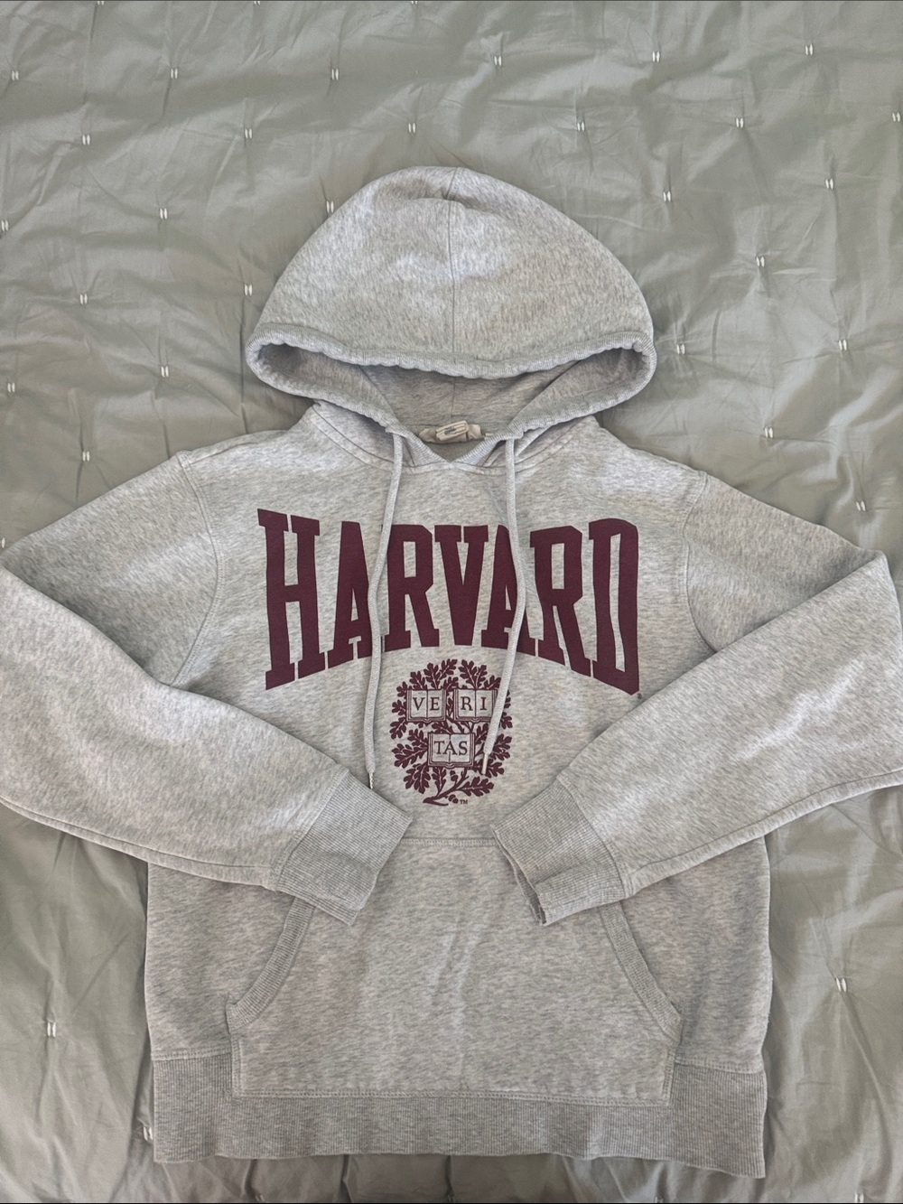 H&M Gray Crewneck Sweatshirt with Maroon Harvard Print
